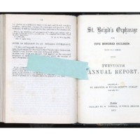 Twentieth Annual Report of St. Brigid&#039;s Orphanage (1876)